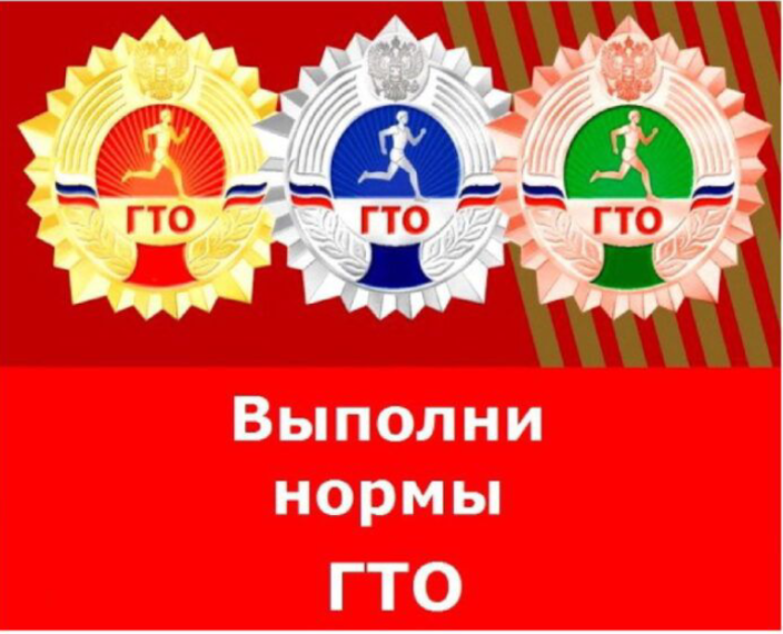 Организация выполнения нормативов программы ГТО.